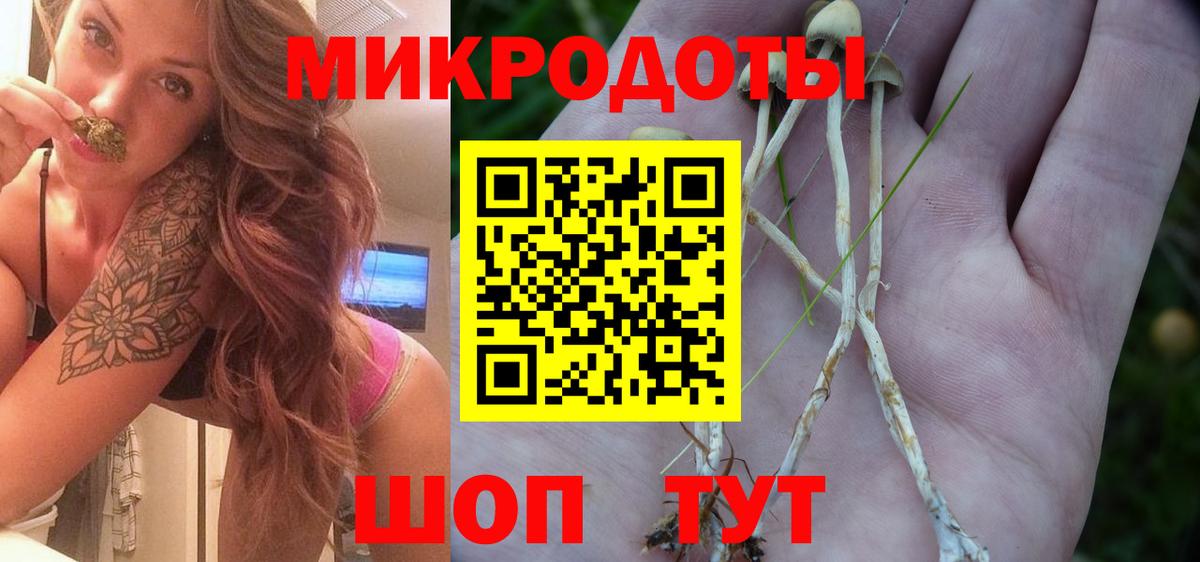 Галлюциногенные грибы прущие грибы  Вход с VPN  Курчатов 