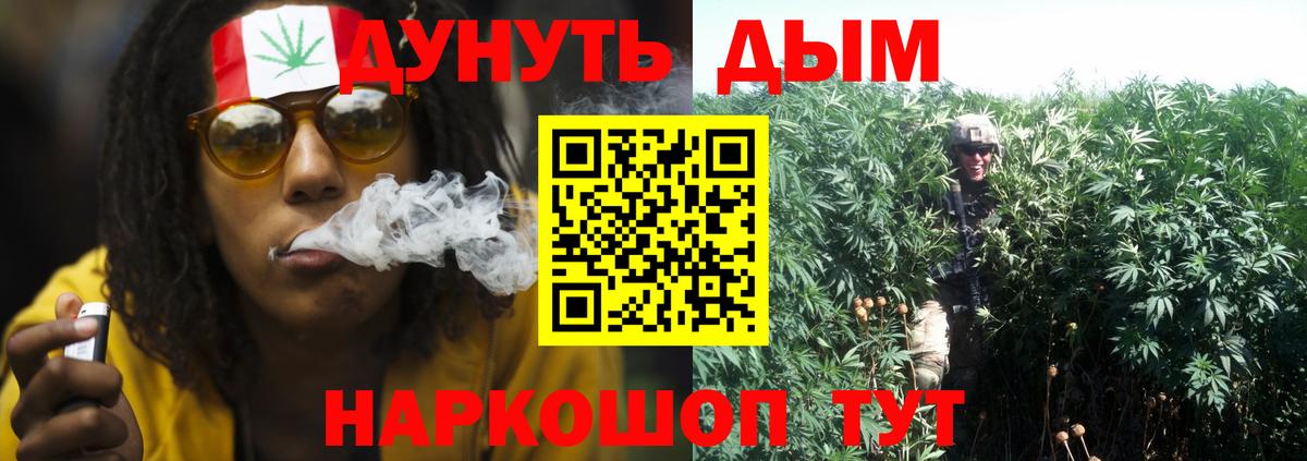 Бошки марихуана LSD WEED  Бошки марихуана VHQ  Вход с VPN  Курчатов 